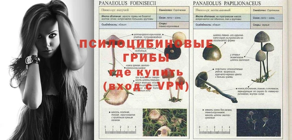 синтетический гашиш Касимов