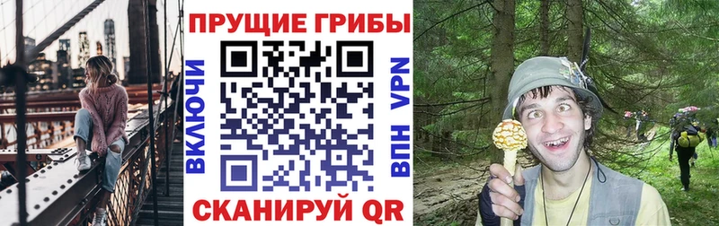 где найти   даркнет официальный сайт  Псилоцибиновые грибы прущие грибы  Красногорск 