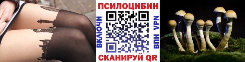 Псилоцибиновые грибы Cubensis Красногорск
