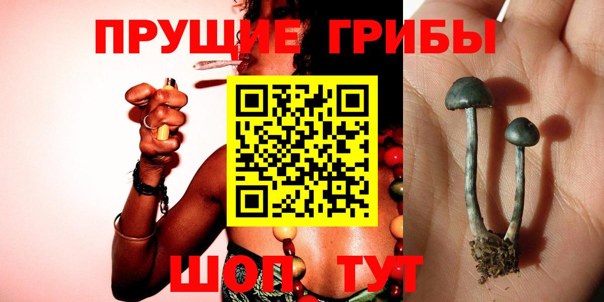 Красногорск  Галлюциногенные грибы мухоморы  Вход с VPN  Псилоцибиновые грибы GOLDEN TEACHER 