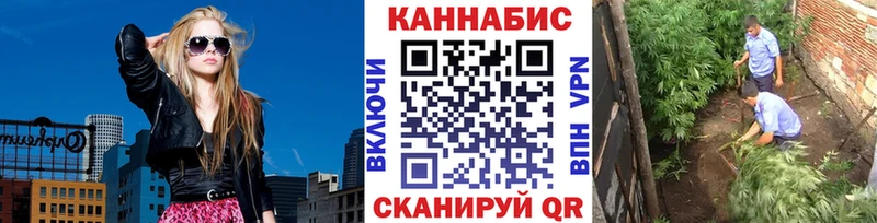 где можно купить   Красногорск  Канабис сатива 